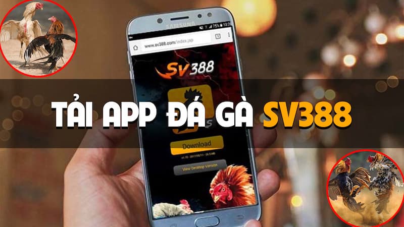 Tải app SV388 với nhiều tiện ích cho người chơi