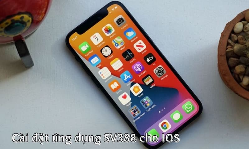Cài đặt ứng dụng SV388 trên điện thoại iOS 