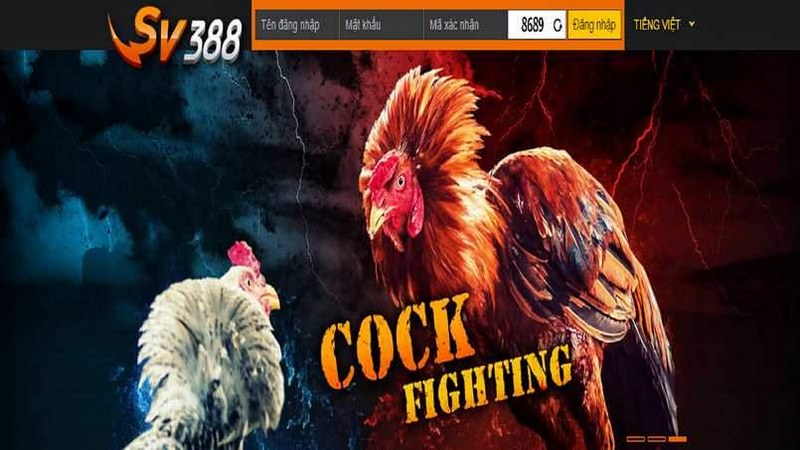 Liên hệ chăm sóc khách hàng khi không thể truy cập vào SV388